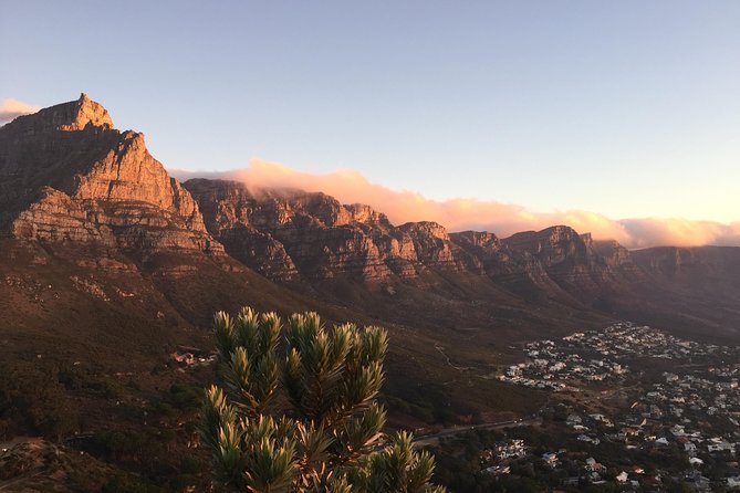Full-Day Best of the Cape, Peninsula, Cape Point and Stellenbosch Tour - Boulders Beach offers a quick penguin encounter