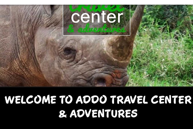 Full day big 5 addo Safari - Why Addo is famous for elephants