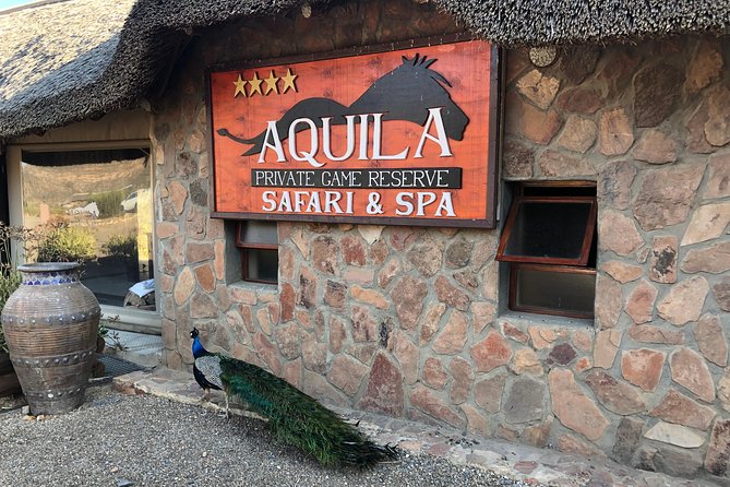 Full Day Big 5 Aquila Safari Private Transfers Including Park Fee From Cape Town - Is the private transfer worth the price?