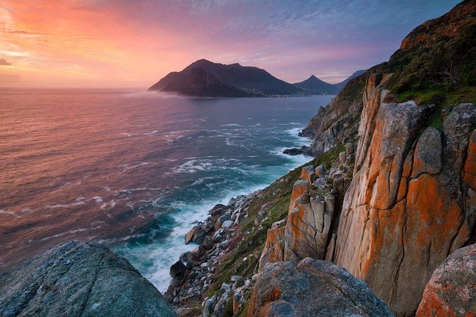 FULL Day Cape of Good Hope and Boulders Penguin Colony - Chapman’s Peak Drive is the road highlight