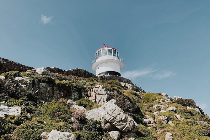 Full Day Cape of Good Hope-Cape Point Group Tour from Cape Town - Why this Cape Peninsula day trip works