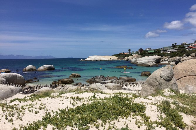 Full Day Cape Peninsula Motorcycle Tour on a Royal Enfield - Cape Point and the end of the peninsula