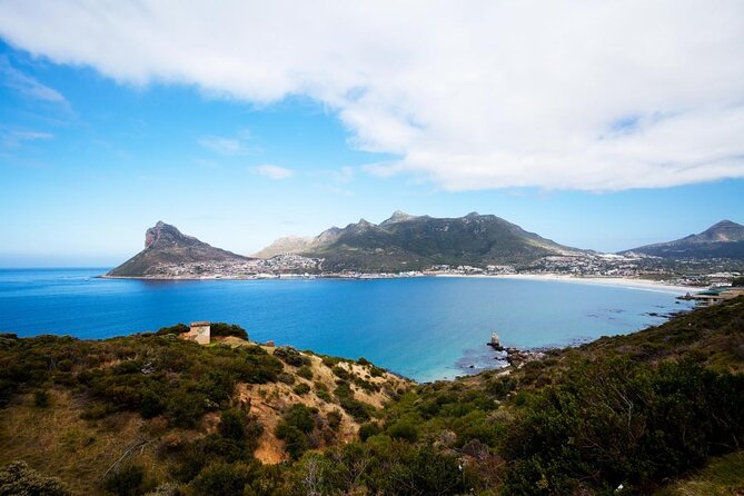 Full Day Cape Peninsula Tour - Key points to know before you book