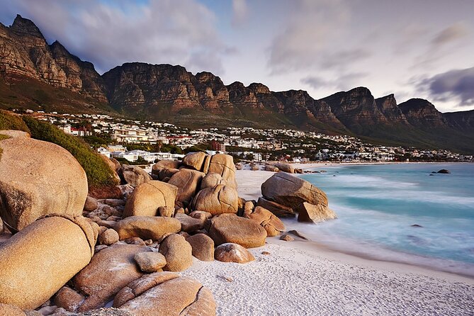 Full Day Cape Peninsula Tour - Who will enjoy this tour most?