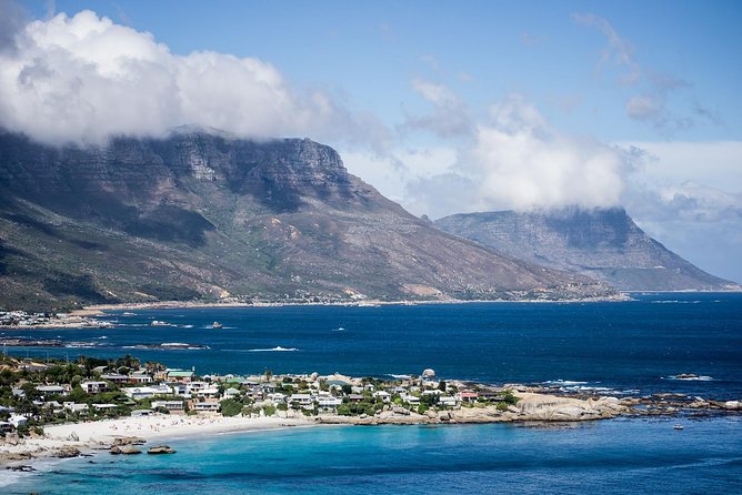 Full-Day Cape Peninsula Tour from Cape Town - Boulders Beach adds one of Cape Town’s most popular animals