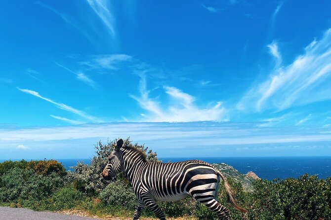 Full Day Cape Peninsula Tour in Private Car - Muizenberg finishes the coastal sweep
