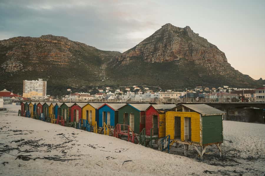 Full day Cape Penisula Tour: Chapman's Peak - Cape Point - Key points at a glance