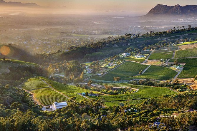 Full day Cape Point + Constantia Wine Tour with Private Transfer - Why This Full-Day Route Works So Well