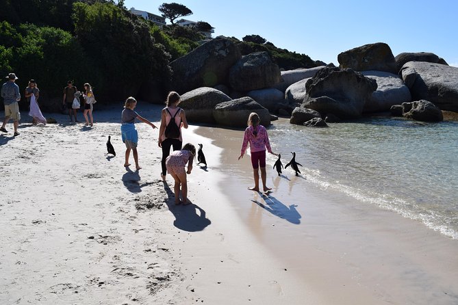 Full day Cape Point + Constantia Wine Tour with Private Transfer - Price, Group Size, And Overall Value