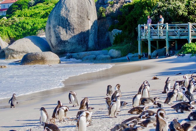 Full Day Cape Point Sightseeing Tour - The old lighthouse and its high viewpoint