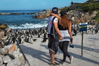 Full-Day Cape Town Private Transfers and Chauffeur Services