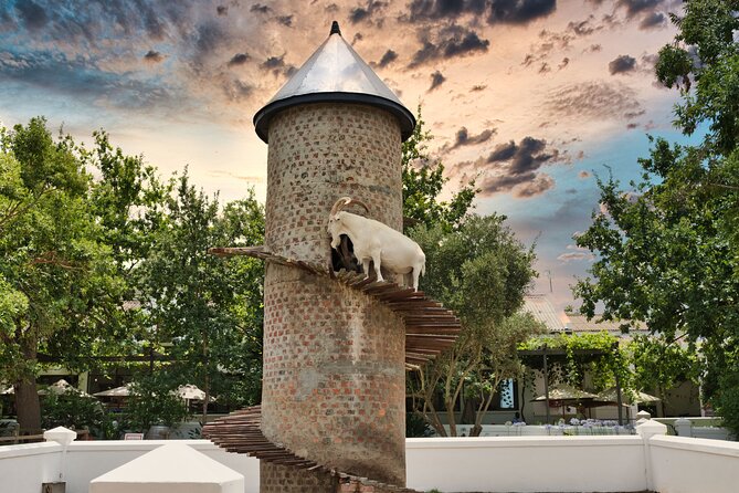Full Day Cape Winelands Private Tour - Lunch at La Petite Ferme is the day’s main splurge