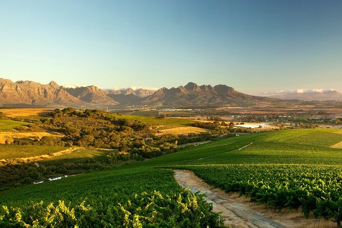 Full-Day Cape Winelands Tour - Stellenbosch: Heritage Buildings and First Tastings