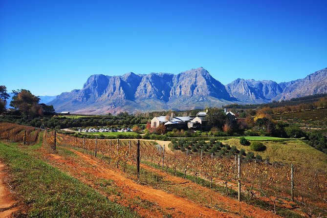 Full-Day Chocolate, Cheese, Olive and Wine Tour from Stellenbosch - La Rochelle Wine Tours and the first tasting