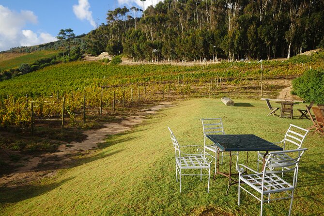 Full-Day Constantia Wine Tour from Cape Town - How the small group affects the day