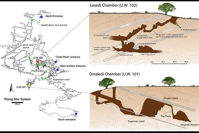 Full-Day Cradle of Humankind Guided Tour from Johannesburg or Pretoria - Maropeng’s mound and the Homo naledi display