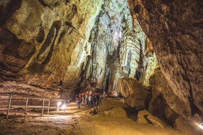 Full-Day Cradle of Humankind Guided Tour from Johannesburg or Pretoria - Is $215.52 per person fair value?
