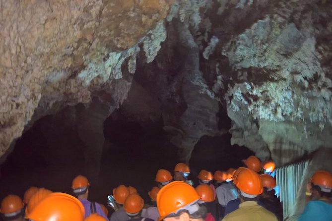 Full-Day Cradle of Humankind Guided Tour from Johannesburg or Pretoria - Who will enjoy this Cradle tour most?