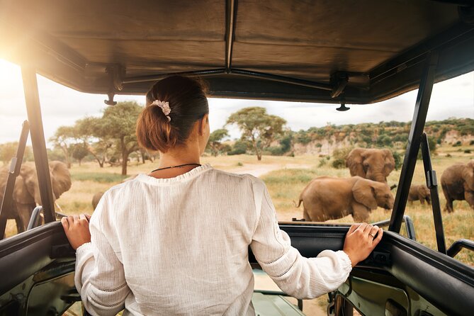 Full Day Exquisite Pilanesberg Safari from Johannesburg - Quick points about the Pilanesberg day safari