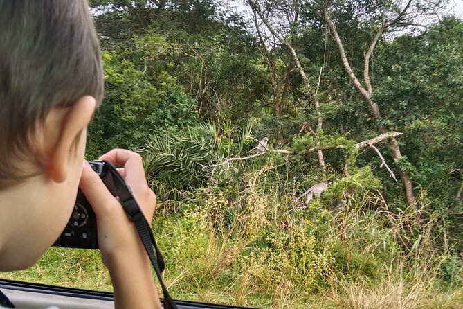Full-Day Family Hluhluwe iMfolozi Park Safari Experience - Key points to know before booking