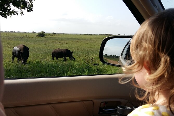 Full-Day Family Hluhluwe iMfolozi Park Safari Experience - The 6:00 am start and what it means for your day