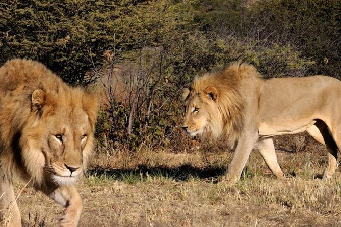 Full day - Hluhluwe Imfolozi Game Reserve 1 Day Tour From Durban - The 5:00am pickup from Durban
