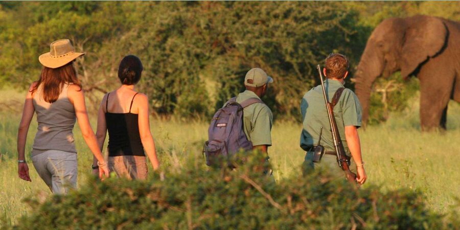 Full Day Hluhluwe Imfolozi Game Reserve Tour from Durban - Booking details worth knowing