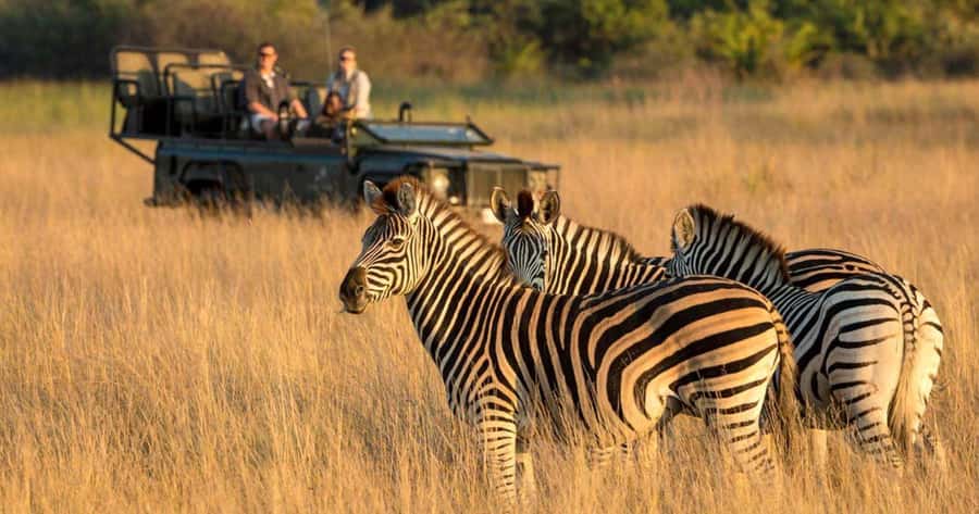 Full Day Hluhluwe Imfolozi Game Reserve Tour from Durban - What $226 means in practical value