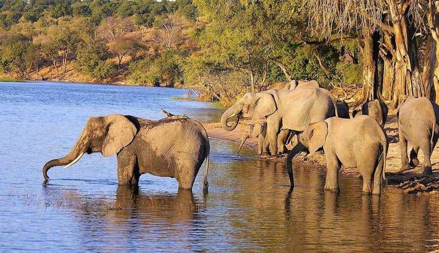 Full Day Hluhluwe Imfolozi Game Reserve Tour from Durban - Who will enjoy this day most