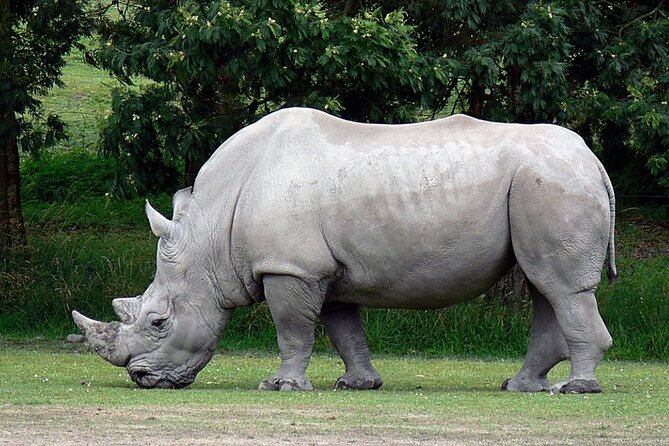 Full Day Isimangaliso Wetlands Park -Croc & Hippo &Game Fr Durban - Is $201.09 a fair price?