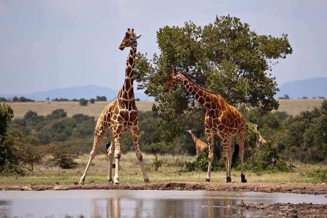 Full Day Isimangaliso Wetlands Park -Croc & Hippo &Game Fr Durban - The 6 a.m. start and the road from Durban