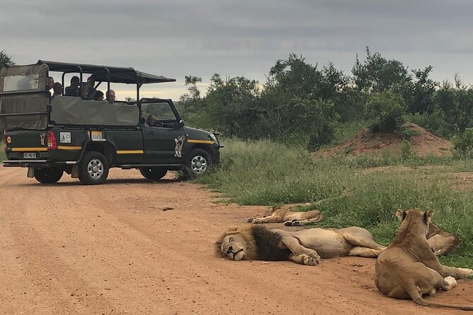 Full Day Kruger National Park Game Drive - Key points at a glance