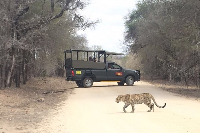 Full Day Kruger National Park Game Drive - A guide can make or break a ten-hour drive