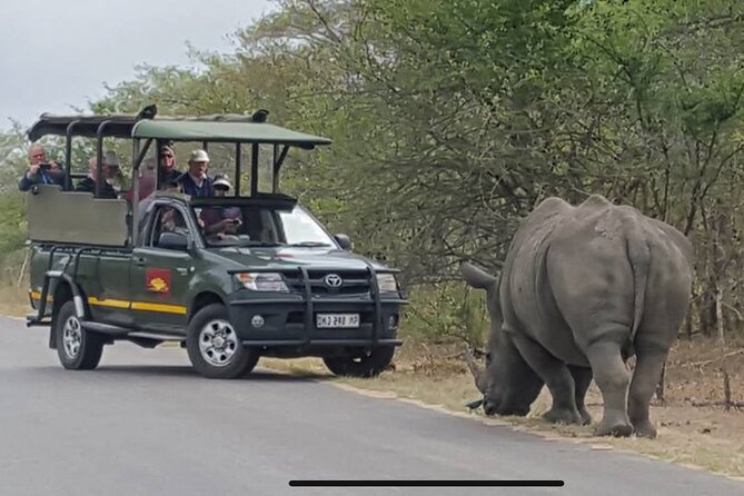 Full Day Kruger National Park Game Drive - Food, water, and the real price
