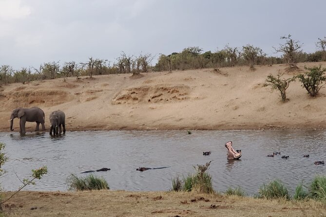 Full Day Kruger National Park Game Drive - Inside Kruger: wildlife, birds, and wild country