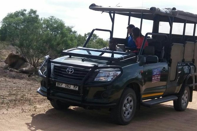 Full-Day Kruger National Park Safari - The 5:30 am start from Hazyview