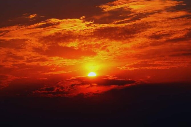 Full Day Kruger National Park Tour - The Guide Makes or Breaks the Day