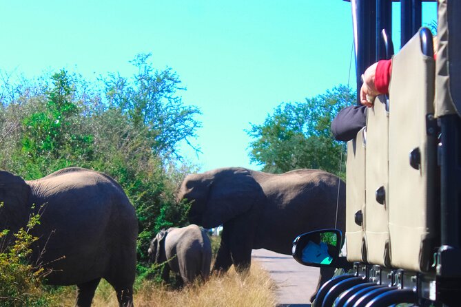 Full-Day Kruger Park Safari from Nelspruit, Whiteriver or Hazyview - Who will enjoy this Kruger safari most