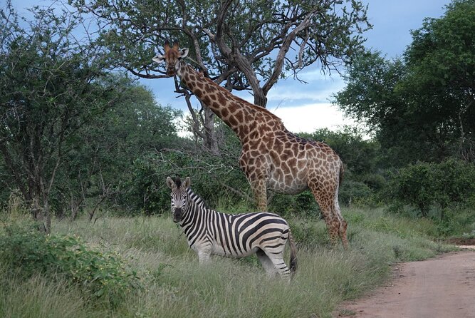 Full Day Kruger Park Wildlife Safari from Hoedspruit - Leaving Hoedspruit in a small group