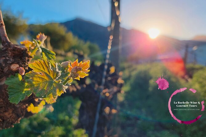 Full Day Mystery Tour - Why the mystery format works in Franschhoek