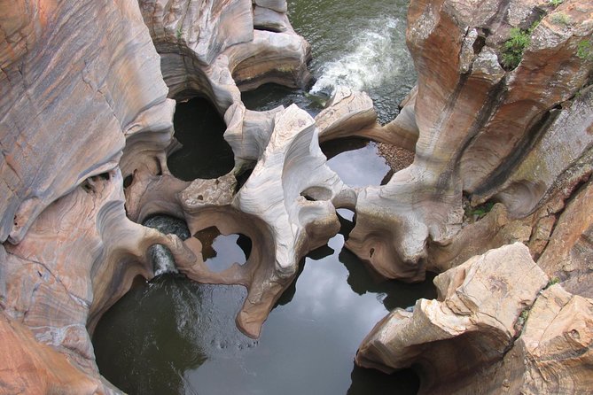 Full-Day Panorama Tour from Hazyview - God’s Window delivers the broadest views