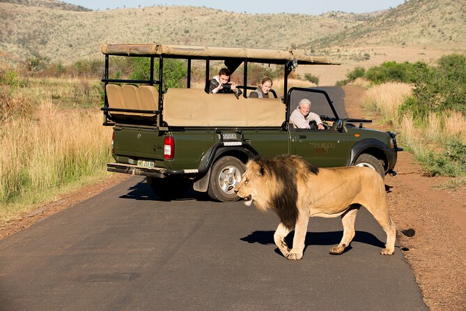 Full Day Pilanesberg Experience in Open Vehicle - Lunch at a Pilanesberg rest camp