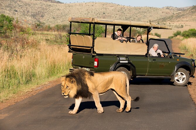 Full Day Pilanesberg Experience in Open Vehicle - The afternoon closed-vehicle safari