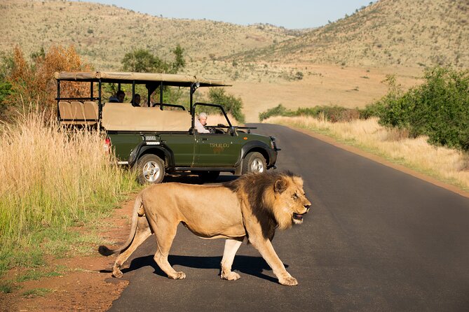 Full Day Pilanesberg Experience in Open Vehicle - What the $137.74 price includes