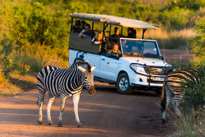 Full Day Pilanesberg Safari Adventure - Meeting at Sun City or Bakubung Gate