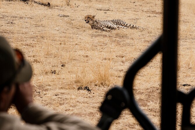 Full Day Pilanesberg Safari Adventure - Price and value at $121.35