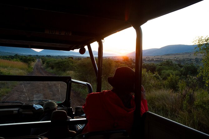 Full Day Pilanesberg Safari Adventure - Who should book this safari