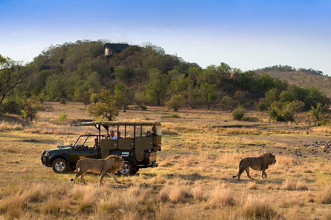 Full Day Pilanesberg Safari Adventure - The morning drive, about three hours among the animals
