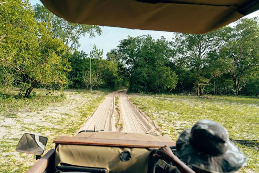 Full-Day Pilanesberg Safari from Sun City - Three hours on the morning game drive
