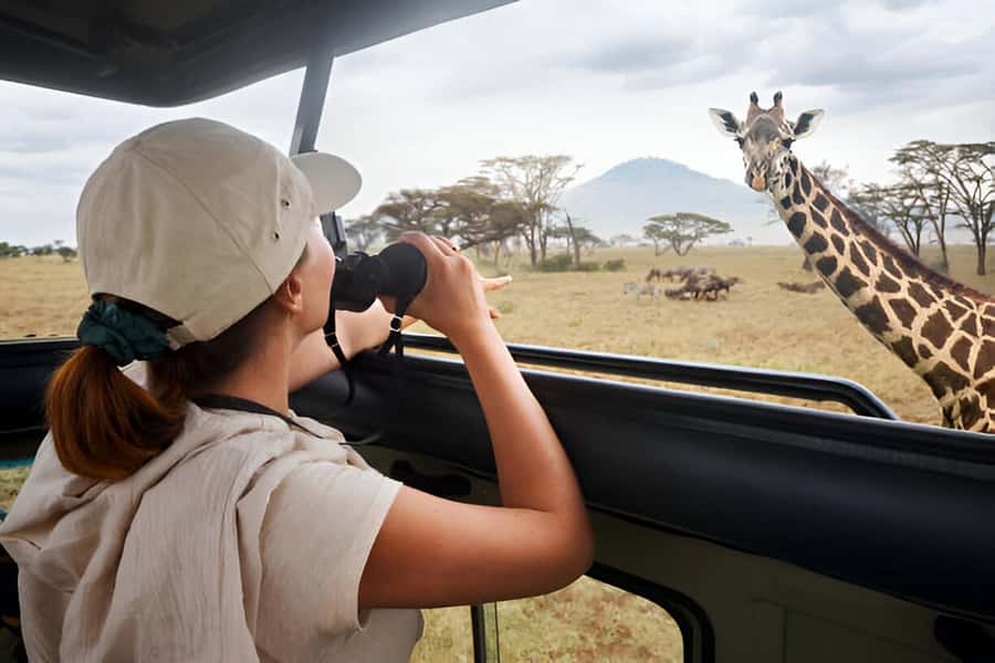 Full-Day Pilanesberg Safari from Sun City - The 8:30 AM hotel pickup keeps the morning simple